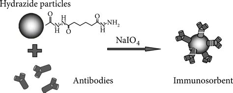 Hydrazide Magnetic Particles - CD Bioparticles