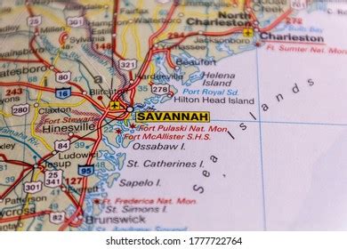 Map Of Savannah Area - Sasha Costanza