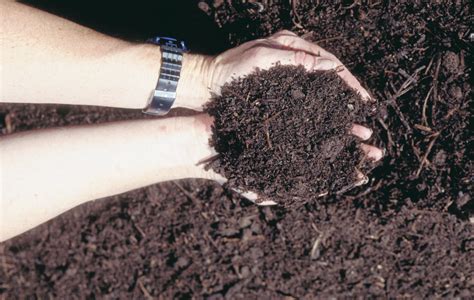 Soil Organic Carbon - AgriMoon