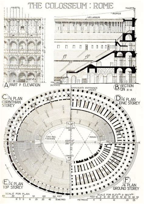 roman colosseum architecture - Google Search | Architettura romana ...