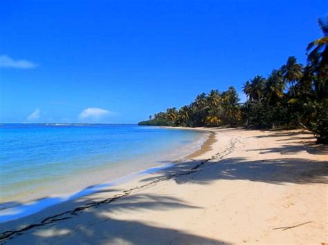 The 22 most beautiful beaches in Samaná | Punta Cana Travel Blog