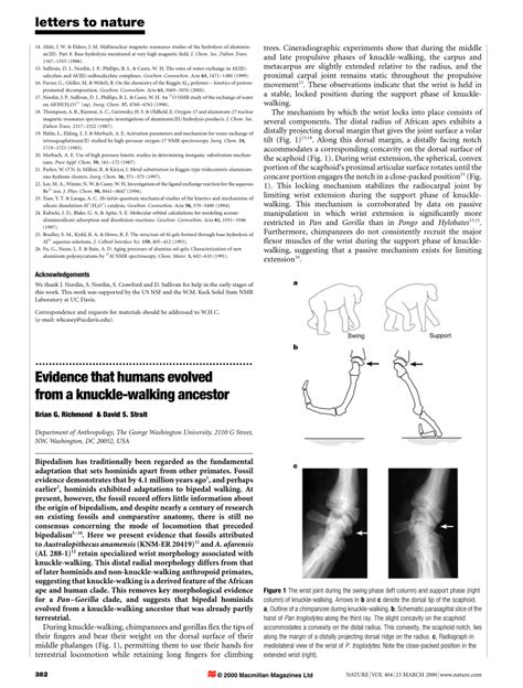 (PDF) Evidence that humans evolved from a knuckle-walking ancestor