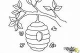 Bumble Bee Hive Coloring Pages Sketch Coloring Page sketch template