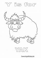 Yak Coloring Pages sketch template