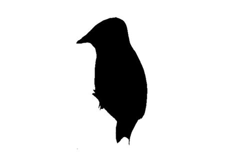 Woodpecker Silhouette at GetDrawings | Free download