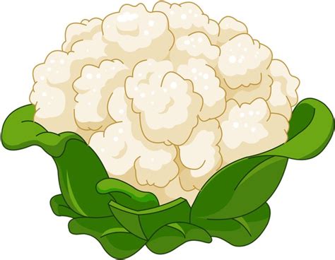Cauliflower Cartoon - Royalty-free Clip Art