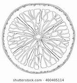 Pin On Coloring 15 sketch template