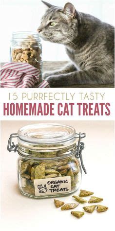 15 Purrfect Homemade Cat Treats to Spoil Your Kitty