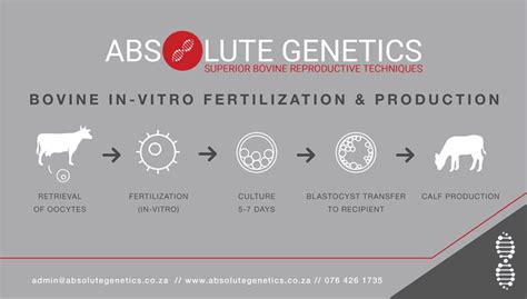 Difference Between in-Vivo and in-Vitro – Absolute Genetics