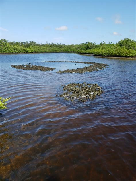 TBEP Oyster Habitat Suitability Index (HSI) - TampaBay.WaterAtlas.org