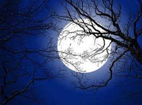 Tổng hợp 97+ hình ảnh trăng rằm đẹp nhất - Sai Gon English Center