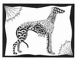 Italian Greyhound Coloring Pages  David Santangelos sketch template
