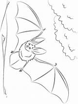 Ausmalbilder Fledermaus  Kostenlose Malvorlagen sketch template