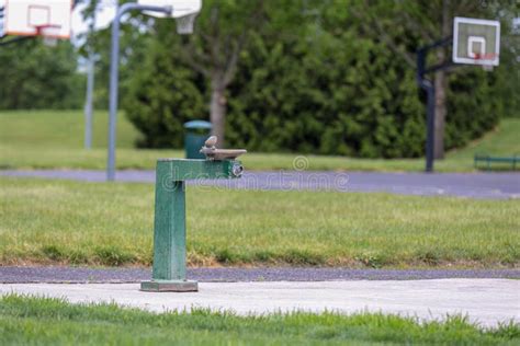 Green Drinking Water Fountain in a Park Stock Photo - Image of service, fountain: 171001562