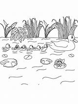 Colorir Fiume Beira Landschaft Paesaggio Ausmalbild Paisagem  sketch template
