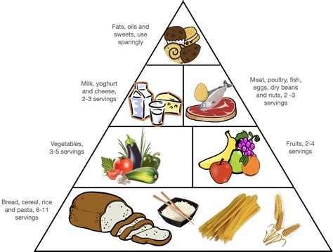 Eat Real Food. Part 1 - Dietary Fats | SiLKinesiology