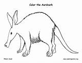 Aardvark Coloring Page sketch template