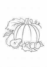 Autumn harvest Coloring Picture Simple To Print Or Download sketch template