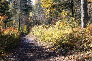 Superior Hiking Trail 2 | Gooseberry Falls State Park; Super… | Flickr