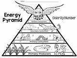 Types Of Energy Coloring Sheets Pages Sketch Page sketch template