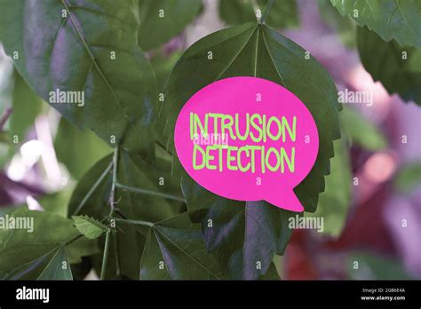 Intrusion detection systems hi-res stock photography and images - Alamy