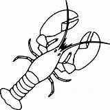 Lobster Coloring Pages  Cool sketch template