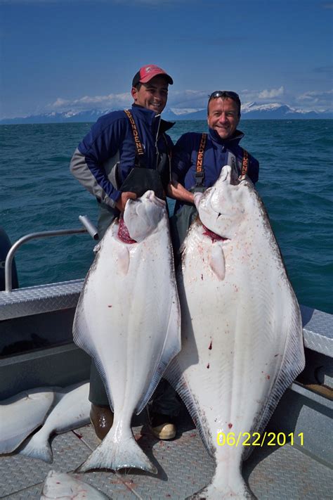 Alaska Halibut Fishing | Alaska Fish On Charters