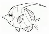 Cute Angelfish sketch template