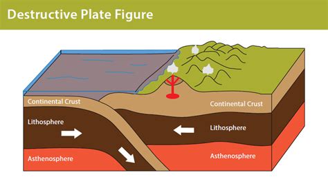 Plate Tectonics - Discovering Galapagos