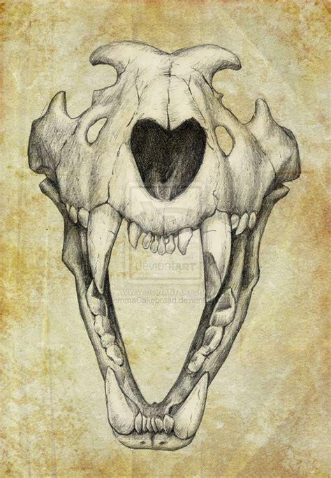 Lion Skull by JemmaCakebread on deviantART | Skull drawing, Animal ...