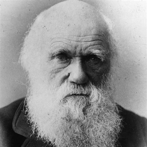 Charles Darwin: A pioneer of rock? | Shropshire Star