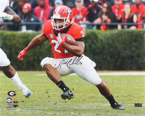 Nick Chubb Signed Georgia Bulldogs 16x20 Photo (Radtke COA)