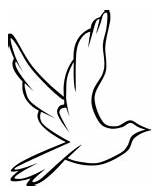 Doves coloring Pages  Free Coloring sketch template