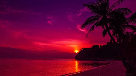 High-Resolution Nature Pictures with Romantic Sunset - Allpicts
