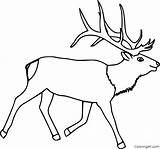 Elk Coloring Pages 21 Free Printables  ColoringAll sketch template