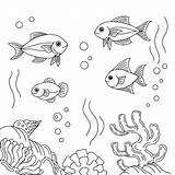 Aquarium Plants Coloring Pages sketch template