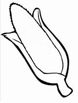 Corn coloring pages To Download And Print For Free sketch template