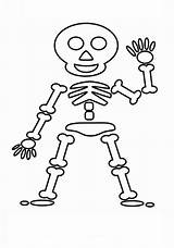 Skeleton Coloring Pages Drawing Kids Colouring Simple Body Parts  sketch template