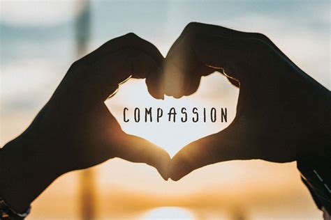 "Compassion" nghĩa là gì: Định Nghĩa, Ví Dụ trong Tiếng Anh