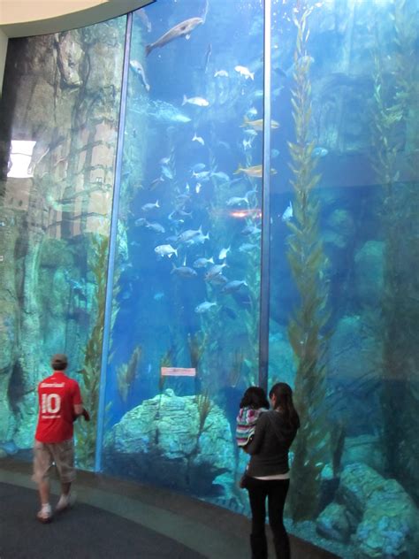 Long Beach Aquarium of the Pacific