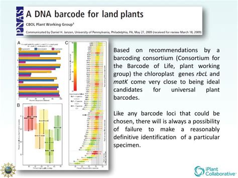 PPT - Plant DNA Barcoding PowerPoint Presentation - ID:4245029