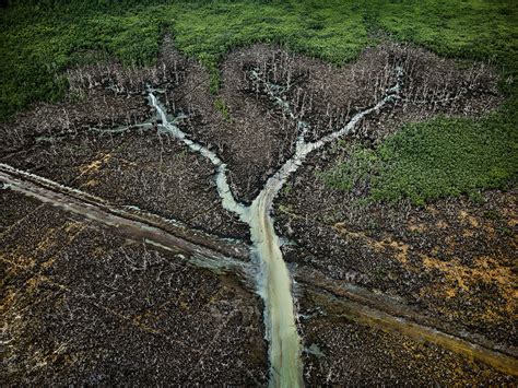 Photo London Master of Photography | Edward Burtynsky - Photo London