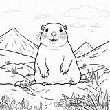 Gopher Coloring Pages  Free & Printable sketch template