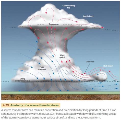 Thunderstorm Diagram