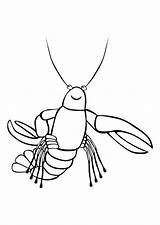 Lobster Coloring Pages  Learny Kids sketch template