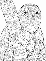 Sloth Coloring sketch template