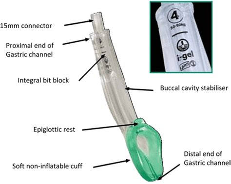 Table 1 from Supraglottic airway devices in the ambulatory setting ...