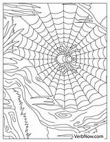 Free SPIDERS Coloring Pages For Download Printable PDF sketch template