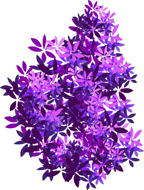 bush clip art 13261266 PNG