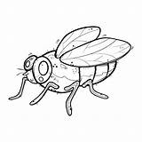 Dibujos Animados moscas Ilustración Lindo Vector Imágenes Para  sketch template